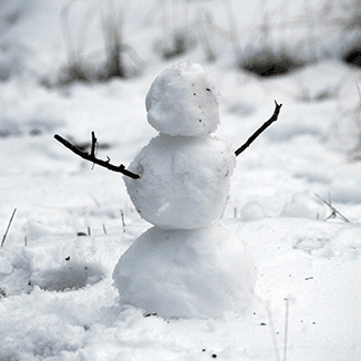 Snowman in maine