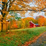 Autumn road to a farm