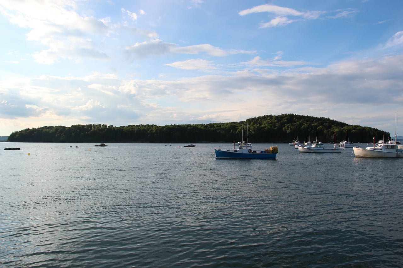 View of Bar Island and boats