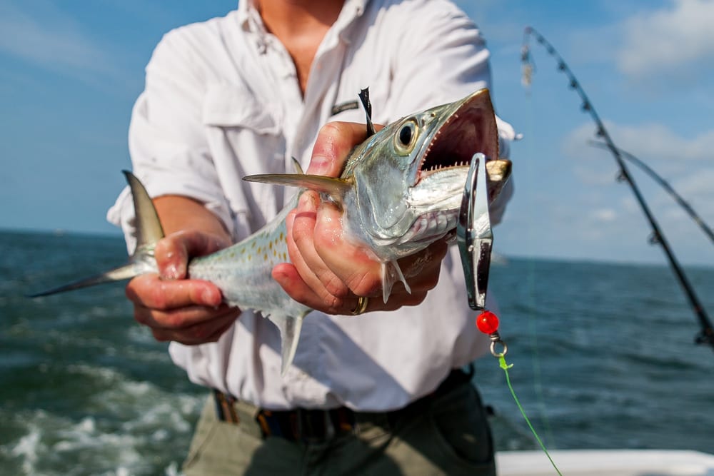 Deep-Sea Fishing in Maine: Camden’s Finest Guides