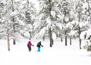 Photo of a Couple Snowshoeing in Maine near Camden.